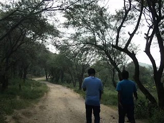 Hikers walk amidst the thick forest of Mekedatu