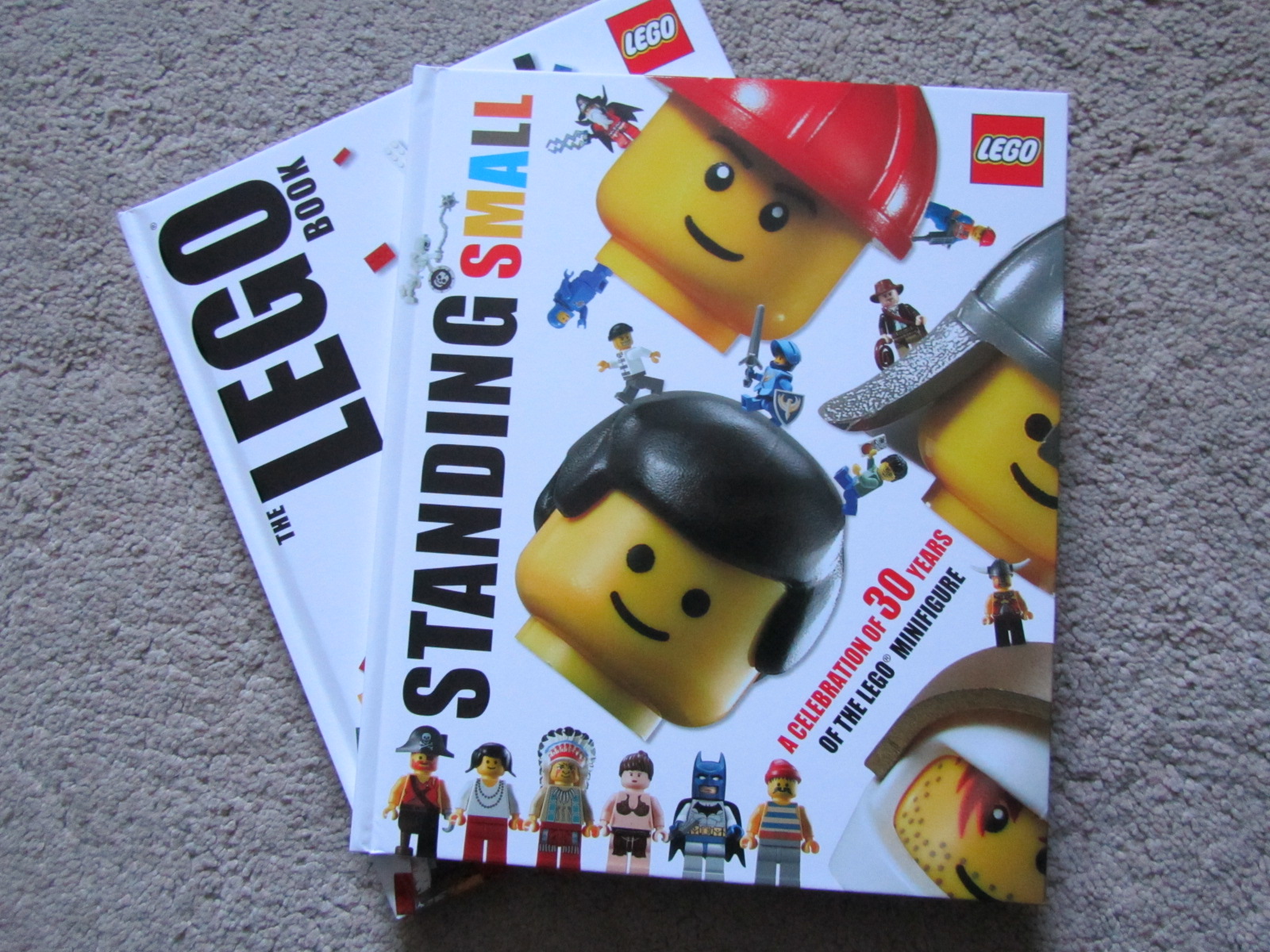 A girls rediscovery of all things Lego! Books; The Lego Book and