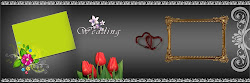 album karizma psd background 12x36 photoshop backgrounds templates template latest resolution frames format studio karishma wallpapers frame updated daily jamali