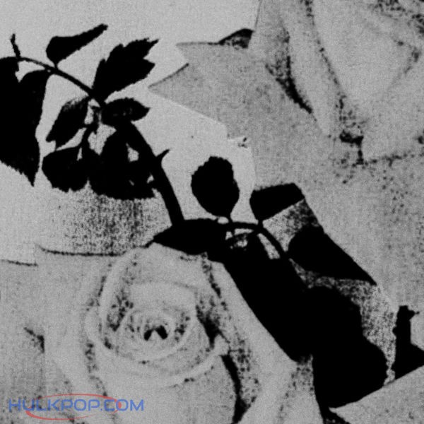 Ashmute – Rose – Single