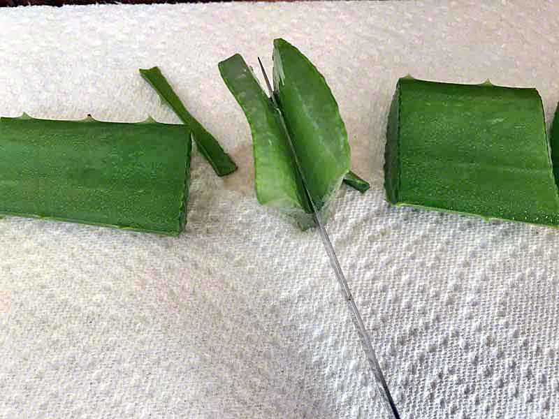 Ryukyu Life Natural Sunburn Treatment Using Aloe Plant
