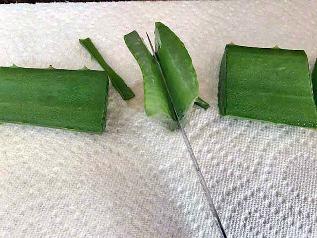 Chunks of aloe being sliced down the middle