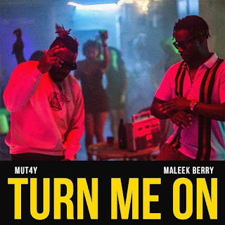 Mut4y ft. Maleek Berry – Turn Me On