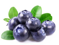 gambar bilberry