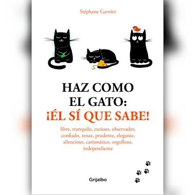 haz-como-el-gato-el-si-sabe