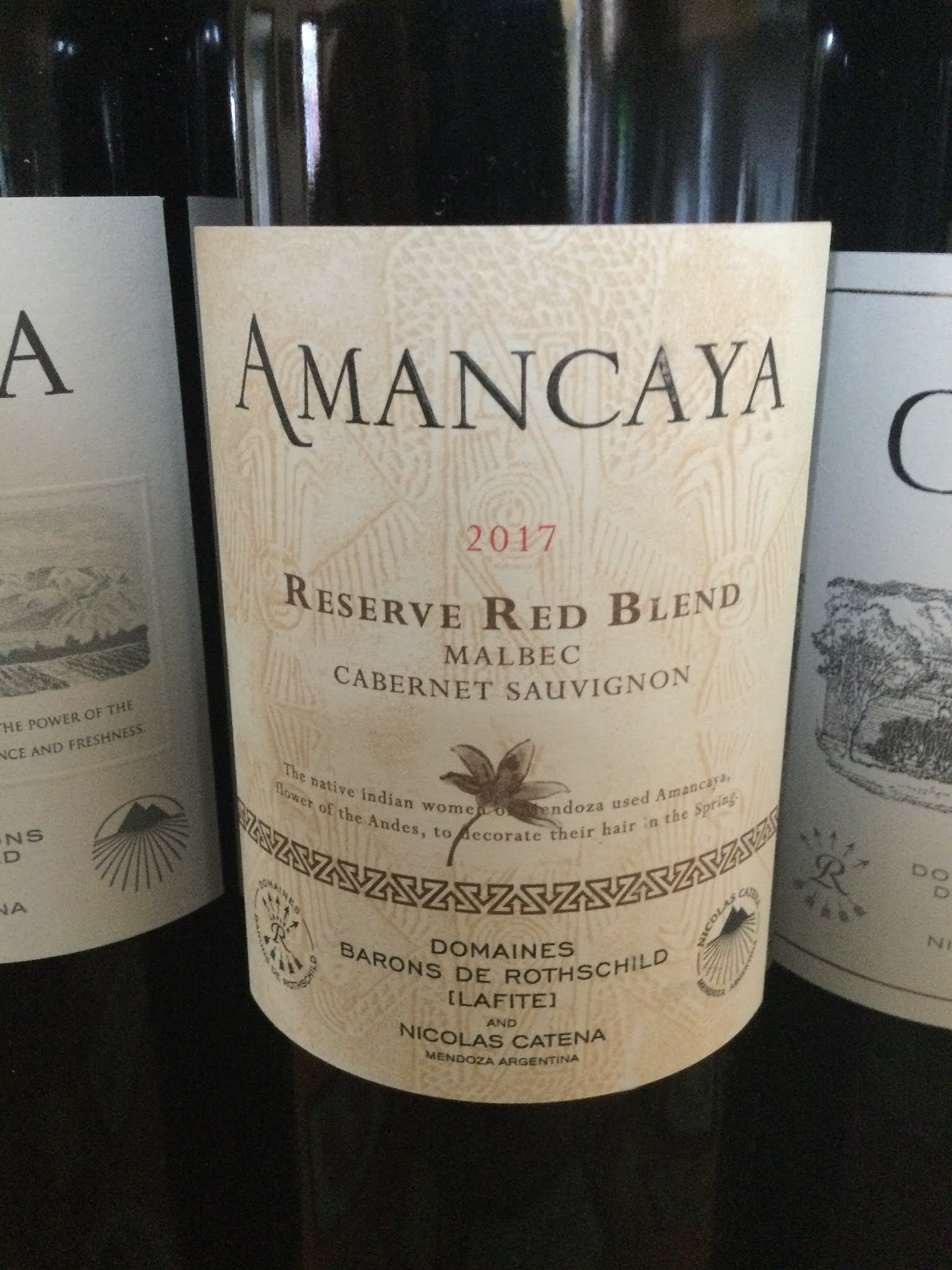 Thewineblog Searching Argentina For A Malbec Cabernet Sauvignon Blend Well I Found The Answer Amancaya By Philip S Kampe