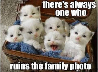 There is always one who ruins family photo