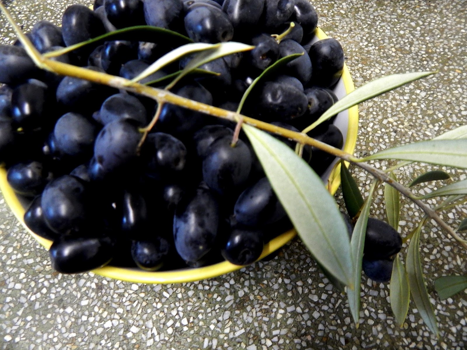 Cocina Chilena . Recetas Caseras Pan de Aceituna