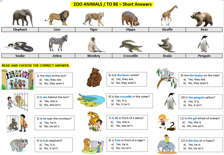 English Corner: Zoo animals / To Be - Short Answers : Presentation