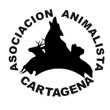 Asociación Animalista de Cartagena