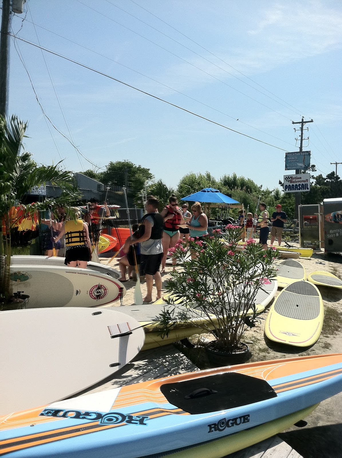 Live to Sail and SUP Paddle Board Rentals Rehoboth Beach