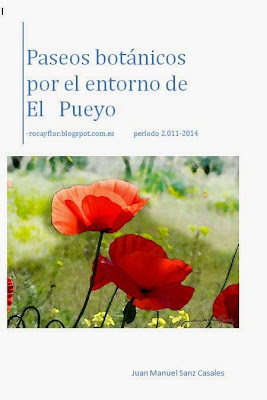 Paseos botánicos por El Pueyo