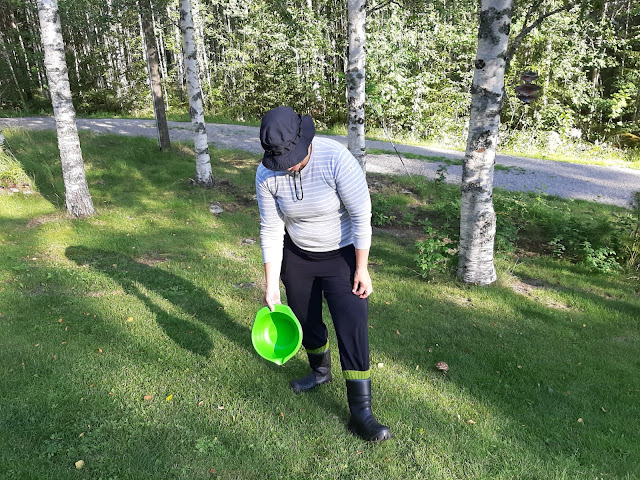 Tyylillä mustikaan Tyylillä mustikaan