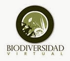 www.biodiversidadvirtual.org