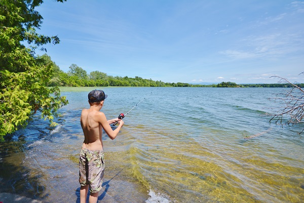 Life With 4 Boys: 5 Things to Do at Button Bay State Park #Travel ...