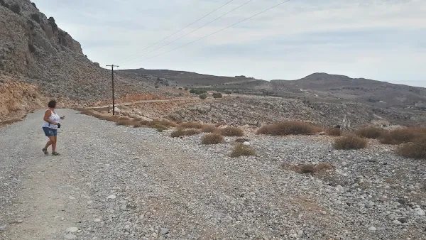 The track through the landscape