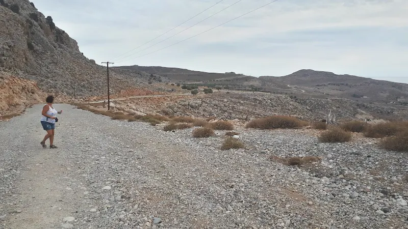 The track through the landscape