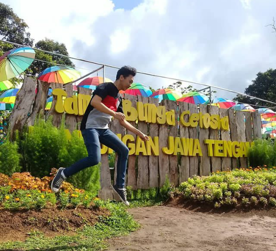 Keindahan Taman Bunga Celosia Wisata Hits Bandungan Semarang Keindahan Taman Bunga Celosia Wisata Hits Bandungan Semarang