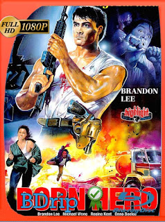 Born Hero (1986) BDRIP 1080p Latino [GoogleDrive] SXGO
