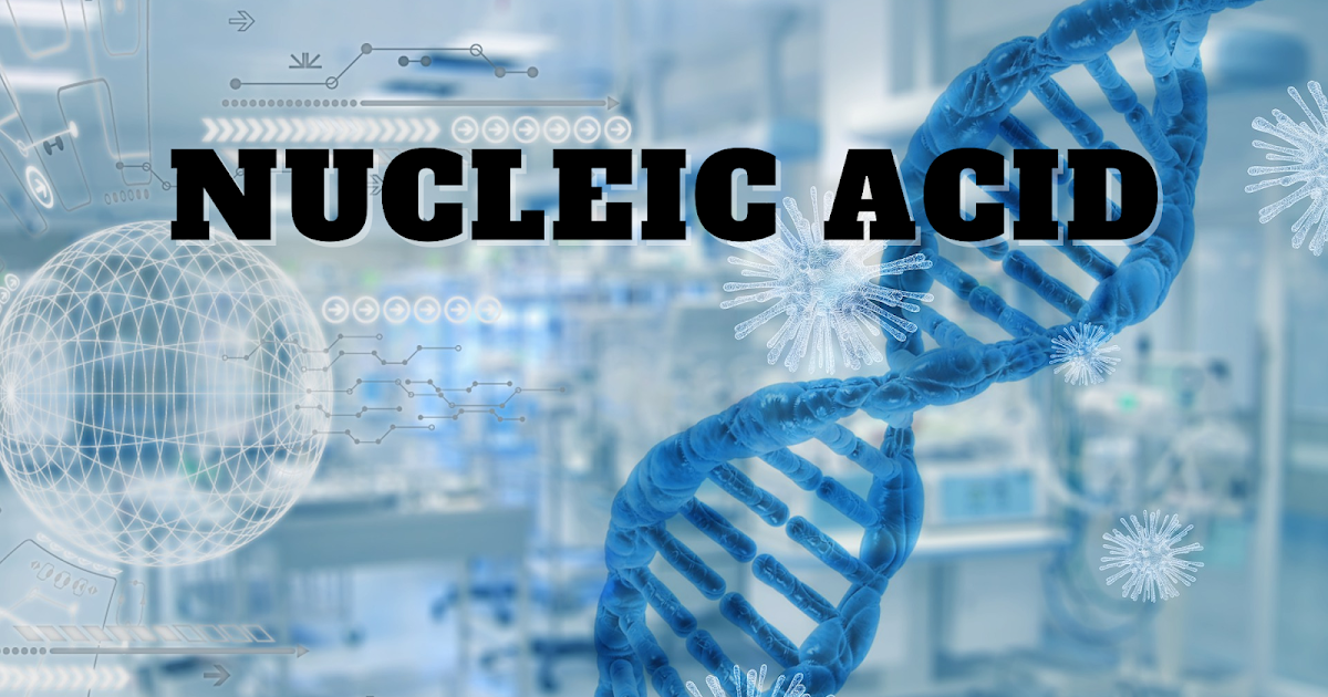 CHAPTER 1 BIOMOLECULES PART 4 NUCLEIC ACID (By Microbiology Doctor dr