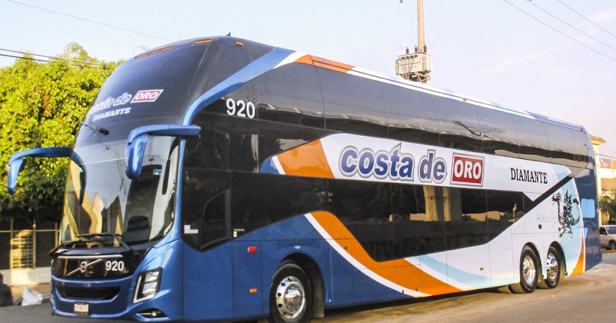 MAXIBUSES AUTOBUSES ENLACES TURÍSTICOS COSTA DE ORO MAXIBUSES AUTOBUSES ENLACES TURÍSTICOS COSTA DE ORO