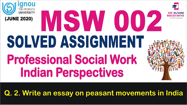 msw 002,
