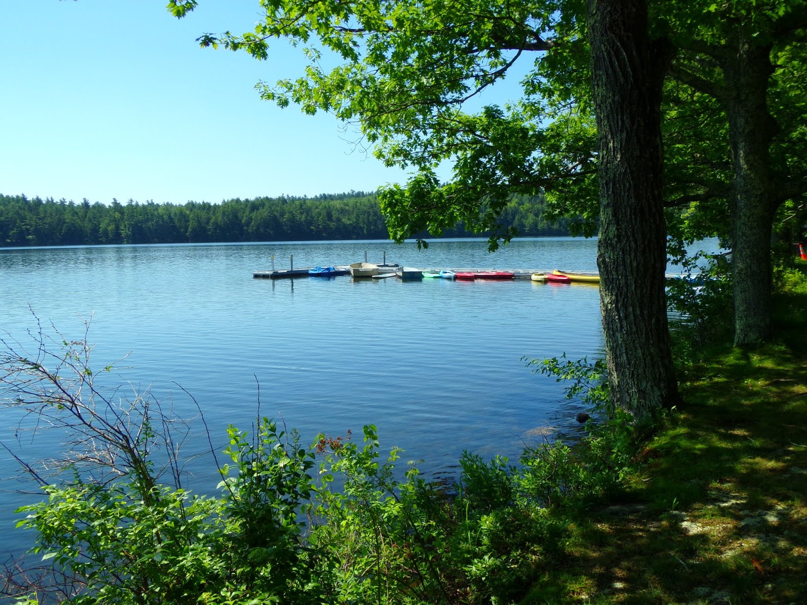 Lake St. State Park, Liberty, Maine