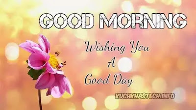 Good Morning Images Good Morning Images