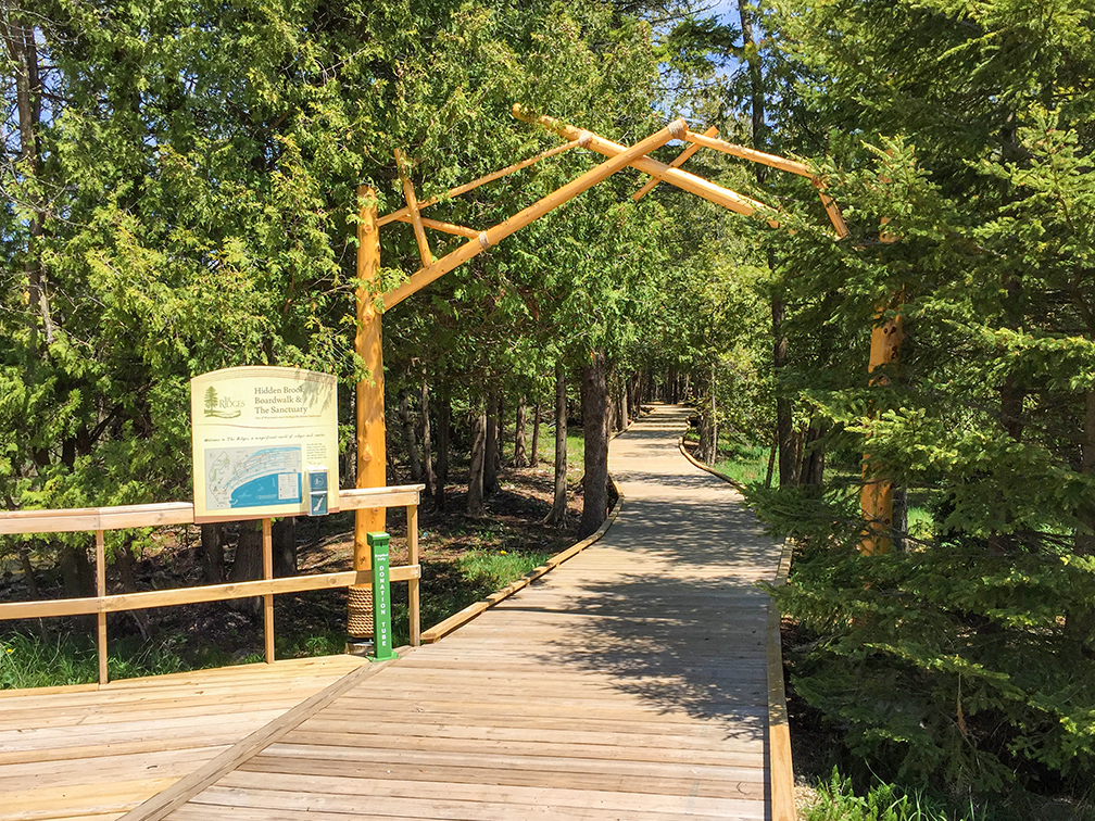 Ridges Sanctuary Boardwalk in Bailey's Harbor Door County WI