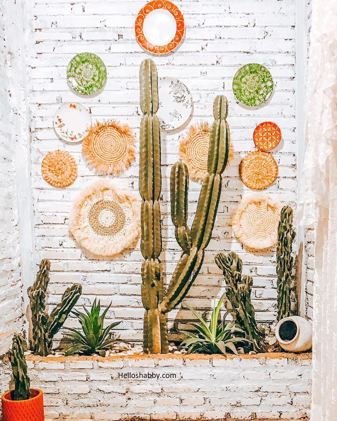 Ide Taman dengan Satu Jenis Tanaman yang Mudah Dirawat: Edisi Taman