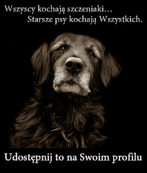 Święta prawda.