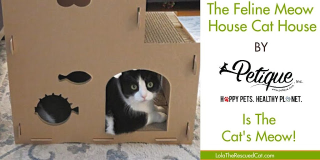 Petique Feline Meow House