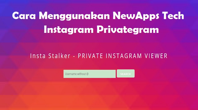 Newapps Tech Instagram Privategram 2021 Cara1001