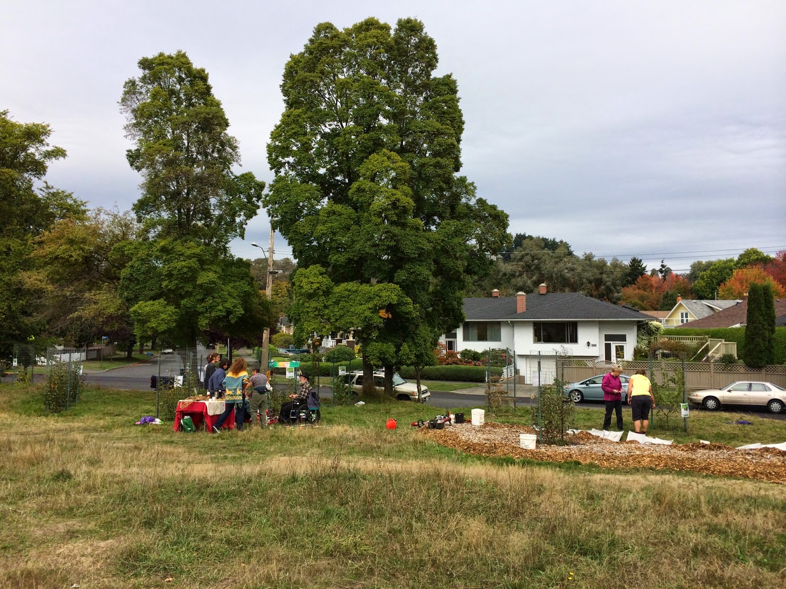 Fairfield Community Gardens: October 2014