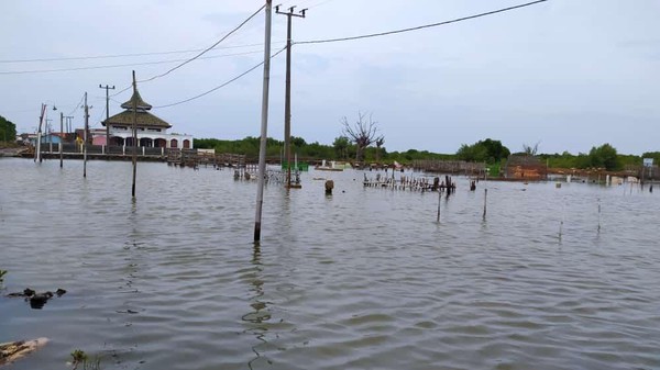 Dinsos Kab. Bekasi Salurkan Bantuan untuk Warga Terdampak Banjir Rob Muaragembong