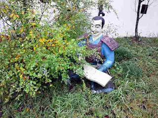 観葉植物の手入れ方法 - 屋内の熱帯植物への水やり