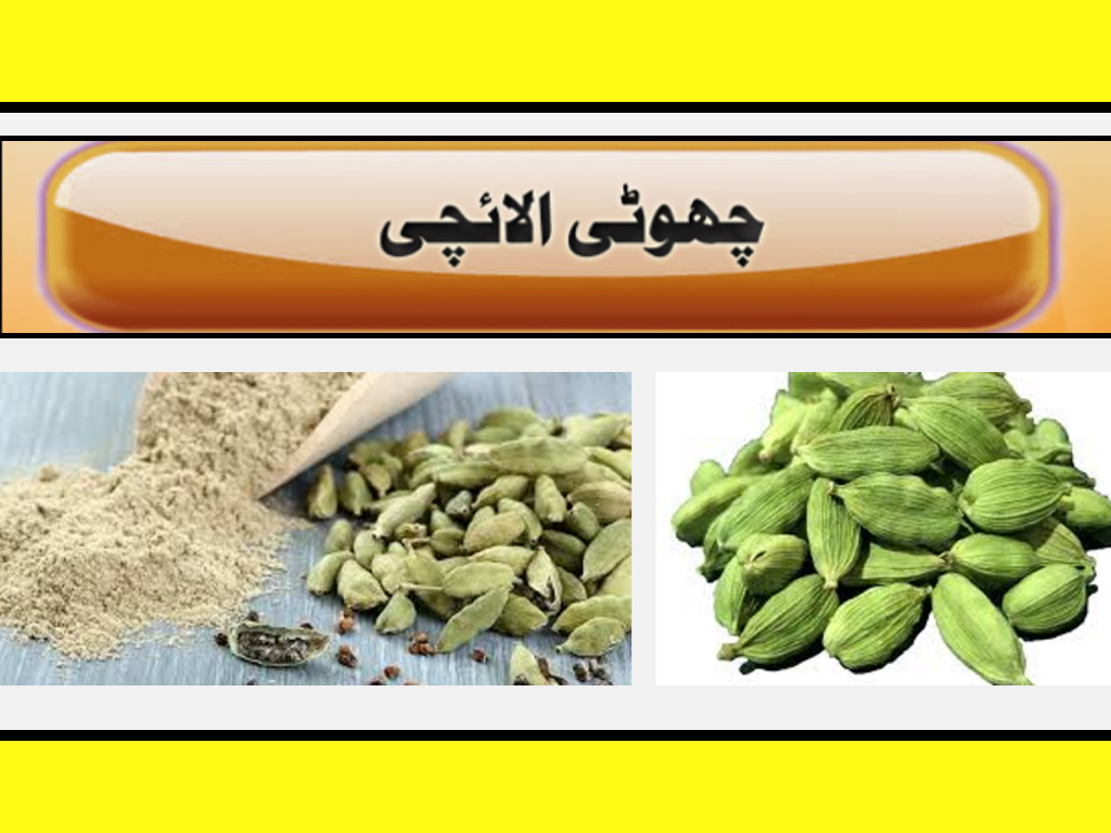 Cardamom Means Elaichi Benefits In Urdu And Hindi Tips Must Watch
