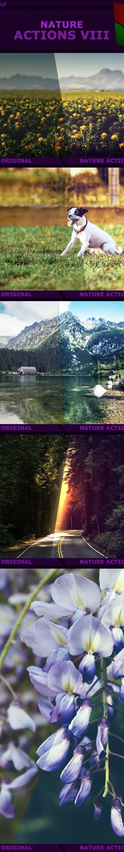 Graphicriver - Nature Actions VIII 17355618 2 Nature%2BAction%2Bpreview%2BVIII