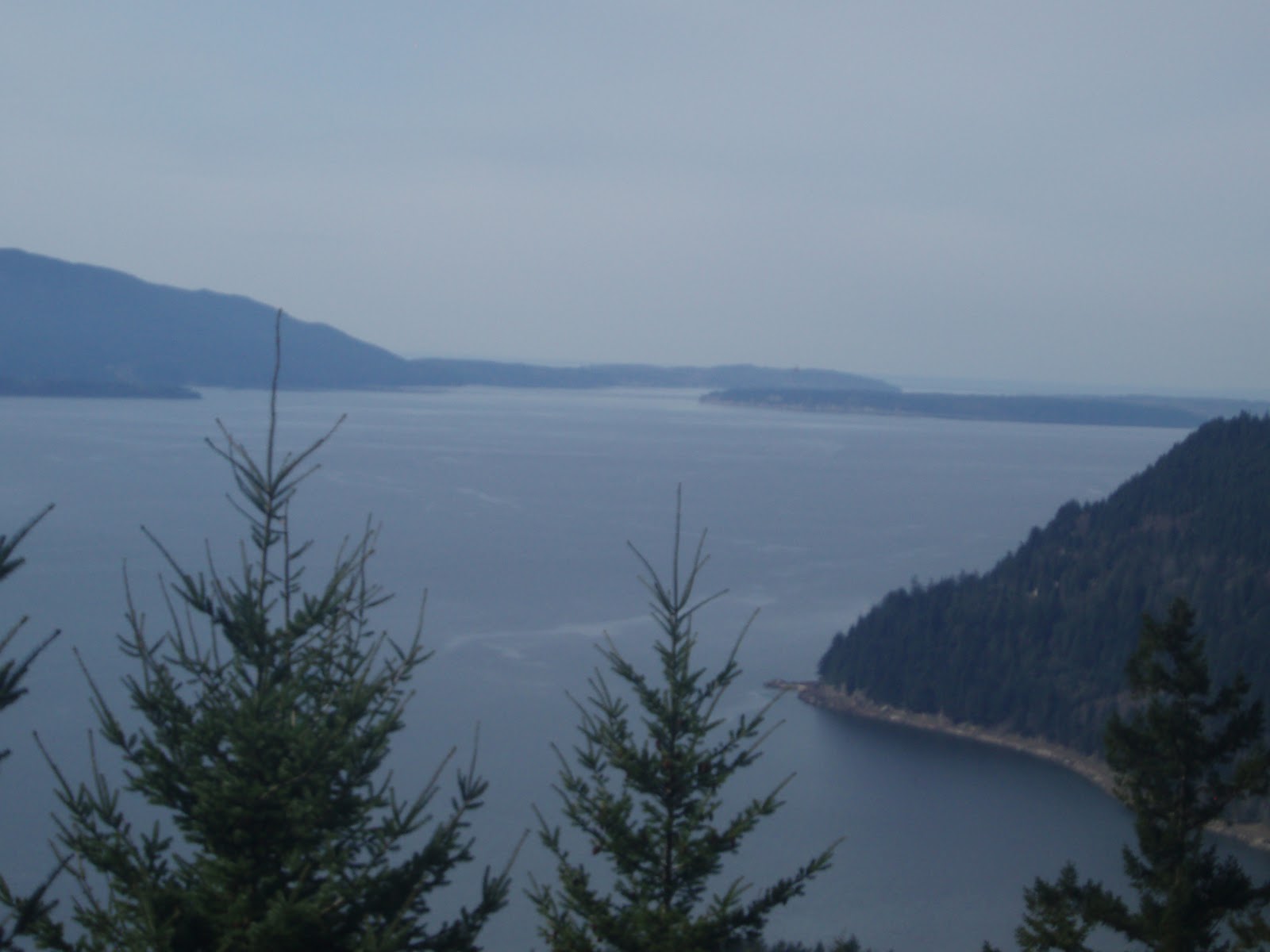 Fagin's Weather World Hike Washington KUOW Hike of the Week Oyster Dome