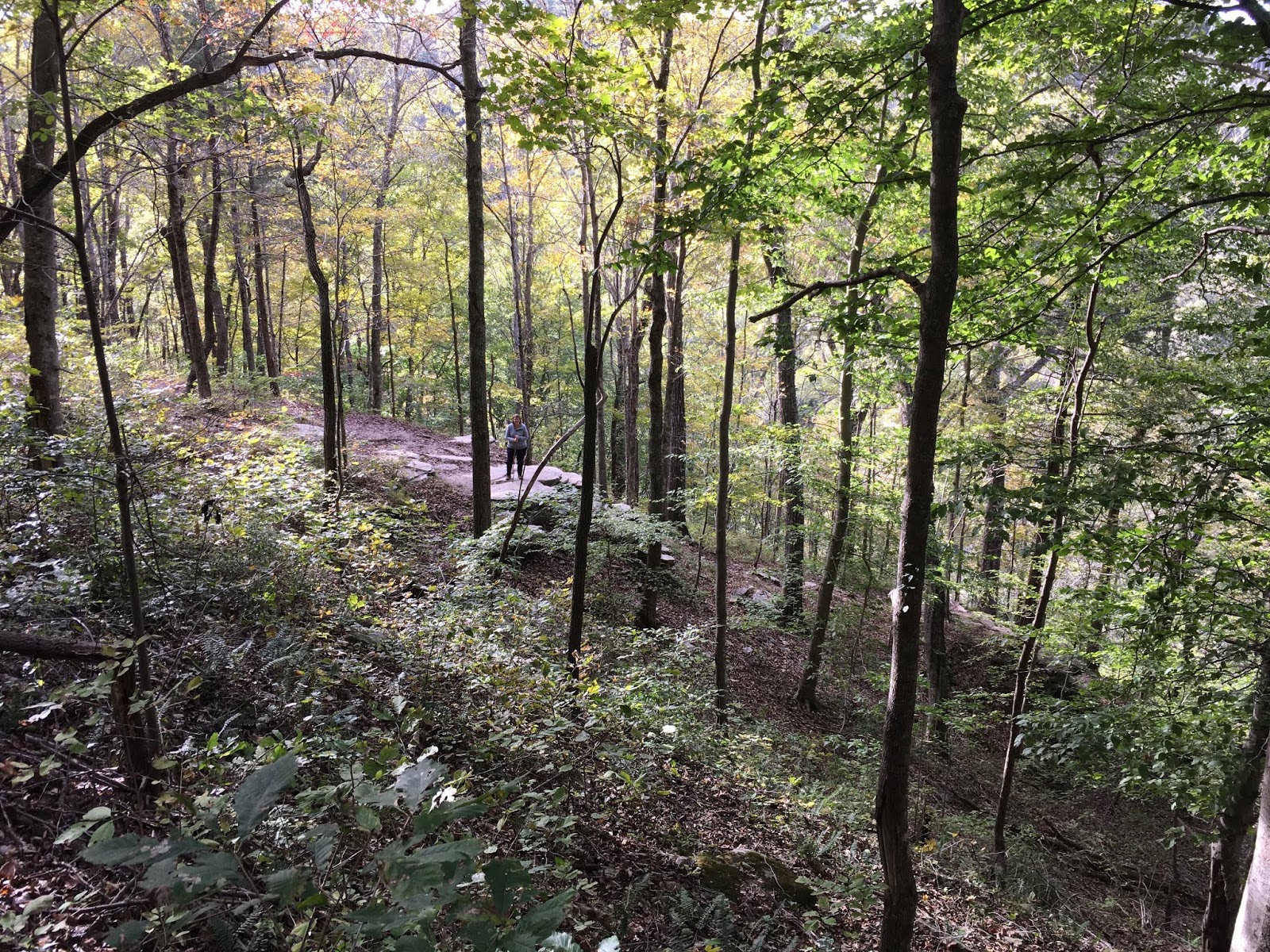 It S Later Than You Think Mammoth Cave National Park
