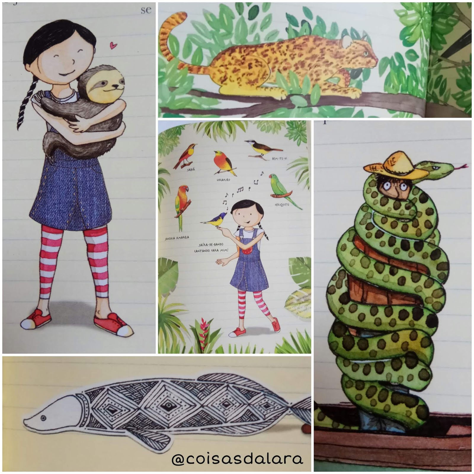 COISAS DA LARA: Resenha Diário de Pilar na Amazônia