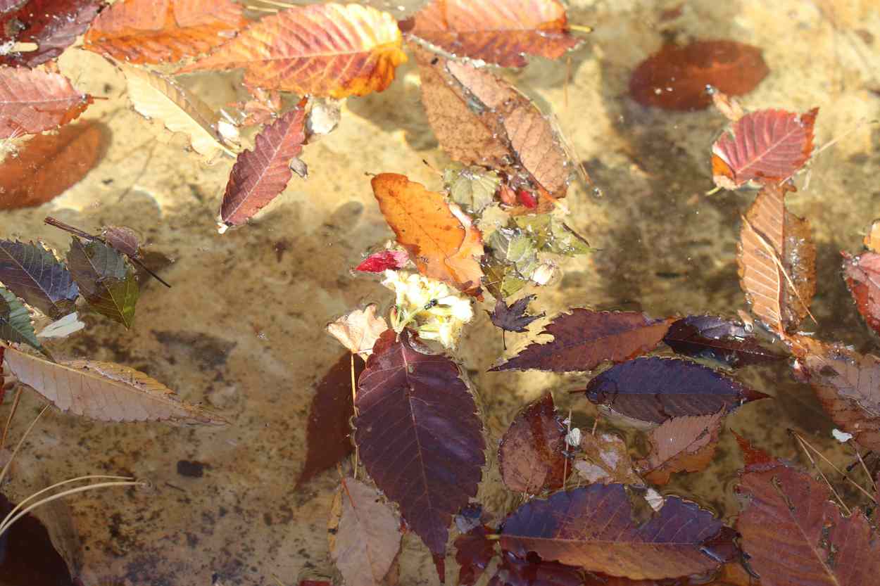 삼각산 도선사 삼각산 도선사