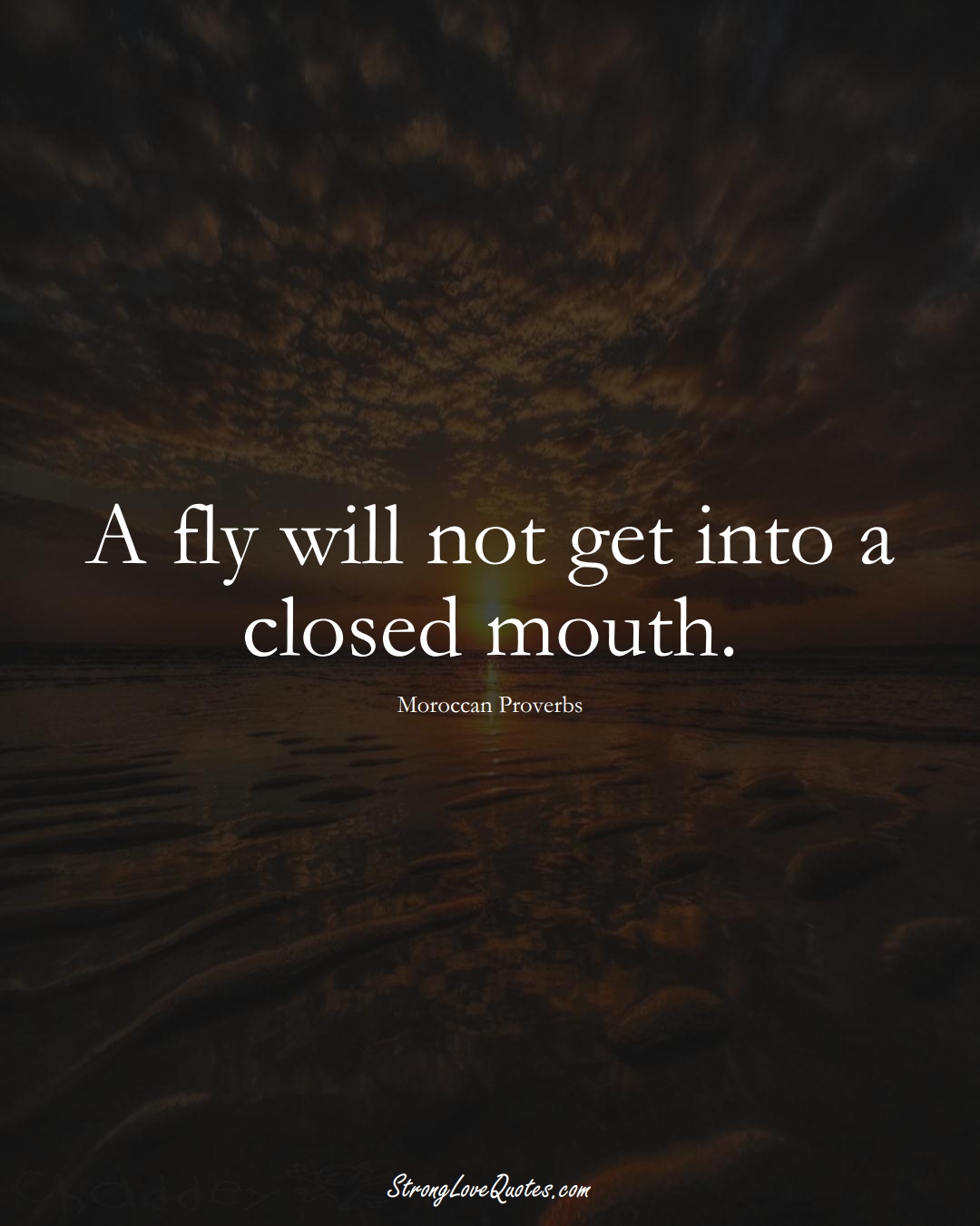 A fly will not get into a closed mouth. (Moroccan Sayings);  #AfricanSayings