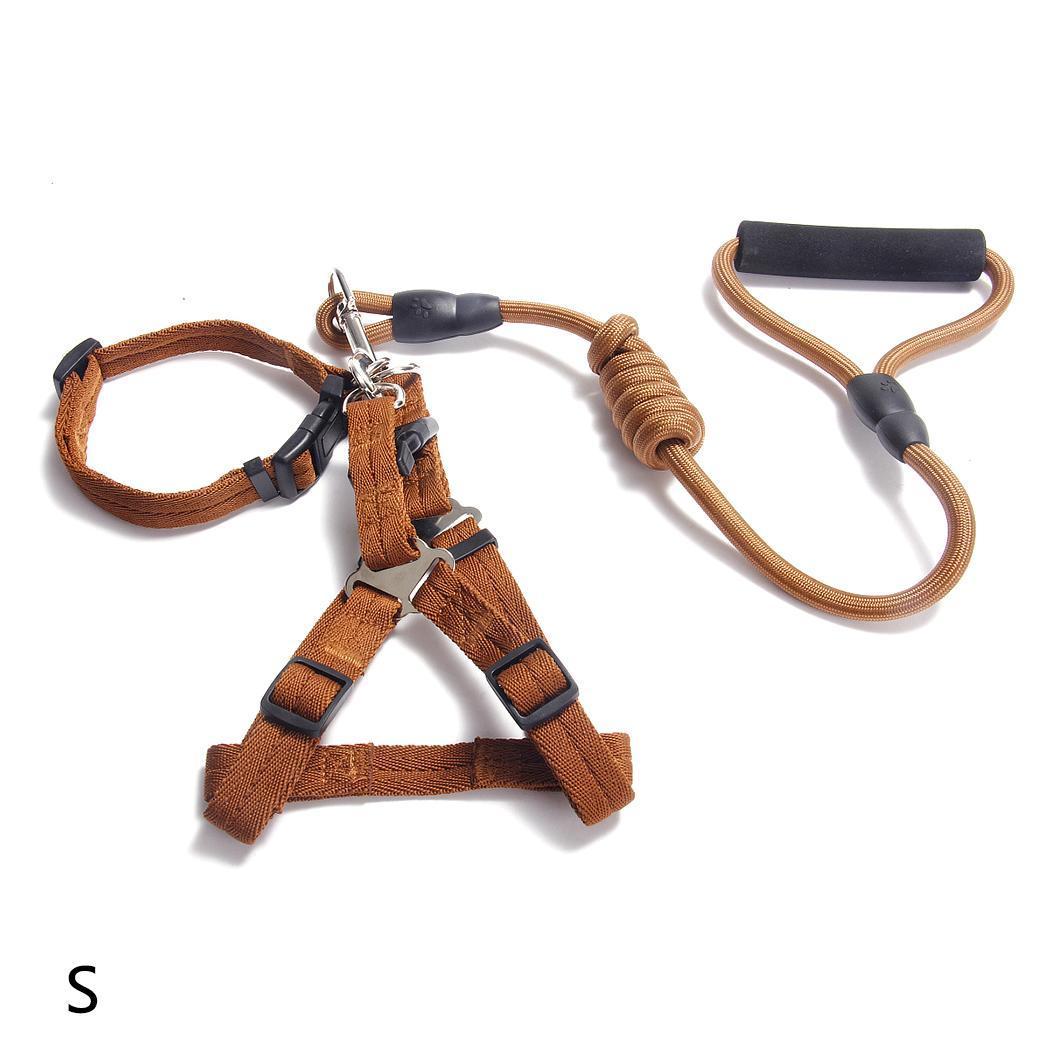 Cegah Tercekik, Cara Memasang Tali Kekang untuk Anjing