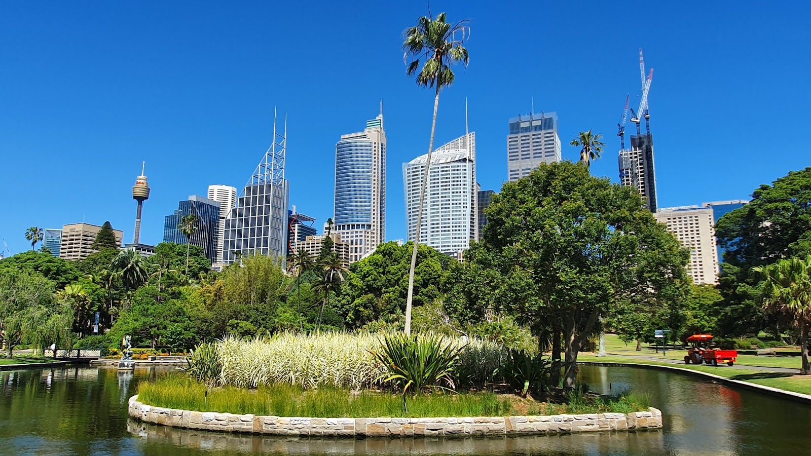 koi-pond-sydney-landscape.jpg