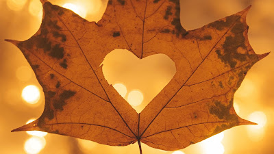 Heart, Maple, Hand, Autumn, Leaf