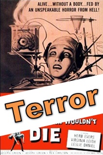 Terror