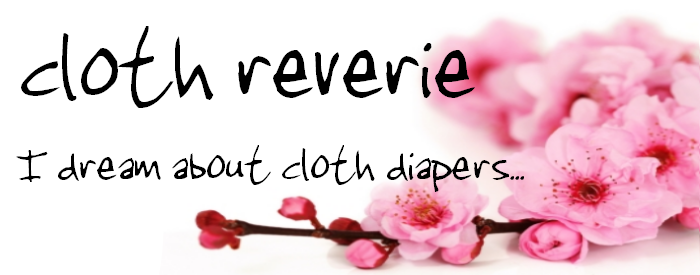 Cloth Reverie