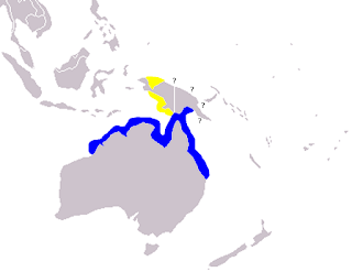 Avustralya küçük yüzgeçli yunusu dağılım haritası