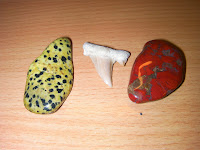 fossilised shark's tooth and polished gemstones